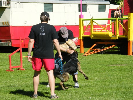 den dětí smraďavka 2014 (154)